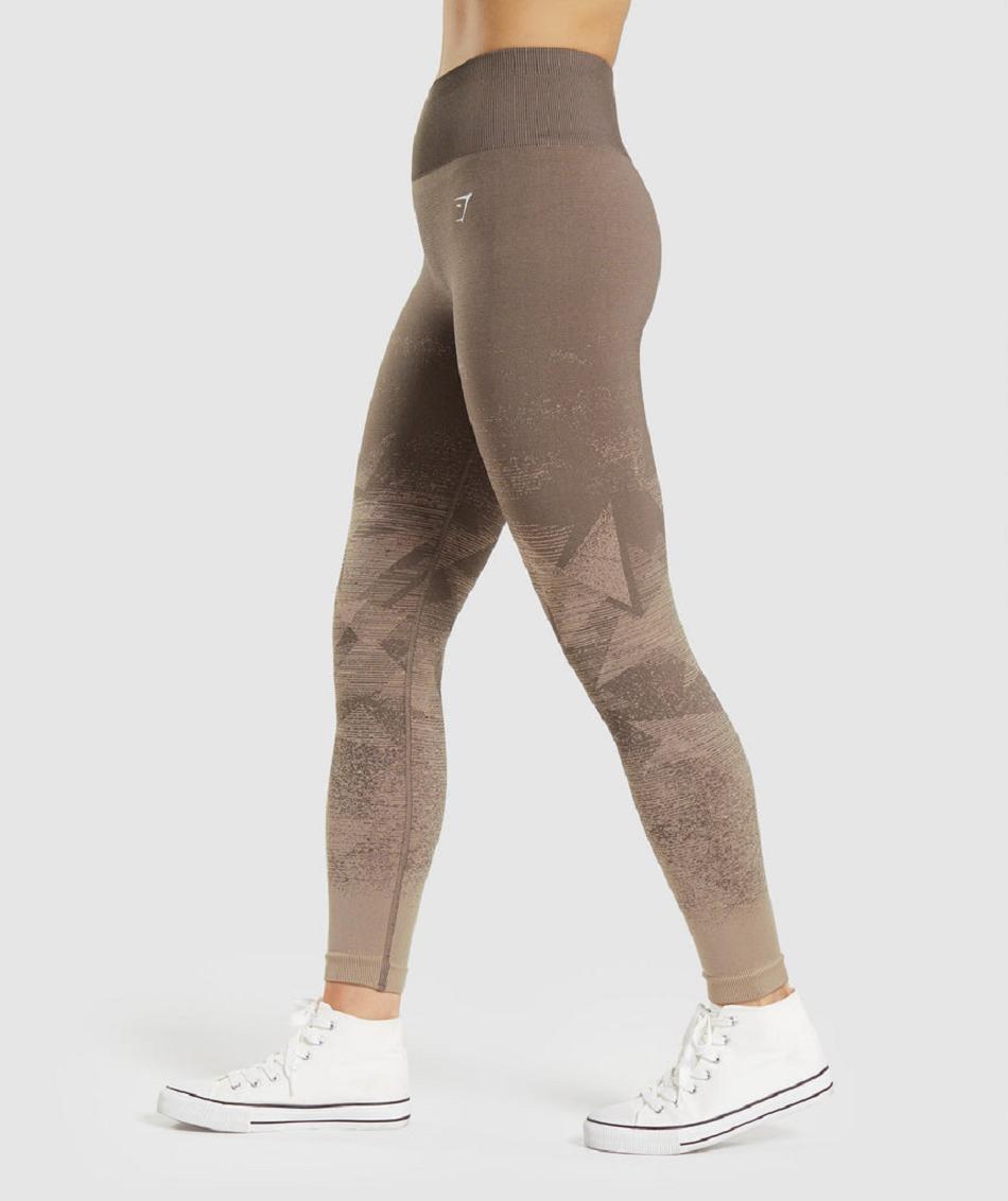 Legginsy Damskie Gymshark Adapt Ombre Seamless Brązowe | PL 2321CTV